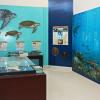 Masirah Environmental Information Center 