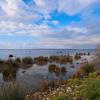 Amvrakikos Wetlands