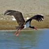 The Evros River