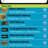 Kuwait Sea Base iPhone App