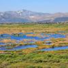 Schinias National Park, Greece (photo by aris Vidalis)