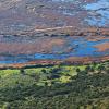 Schinias National Park, Greece (photo by aris Vidalis)