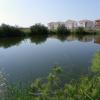 Housing developments threaten remnant pond in the former lake’s basin.