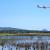 Re-flooded temporary wetland of Loutros, next to Athens International Airport.