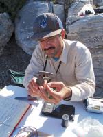 Bird ringing Schinias, Greece (photo Sofia Sideri)