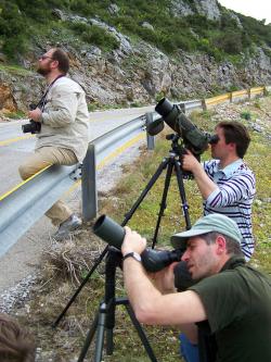 Birdwatching on Hymittos, Greece (photo Stam Zogaris)